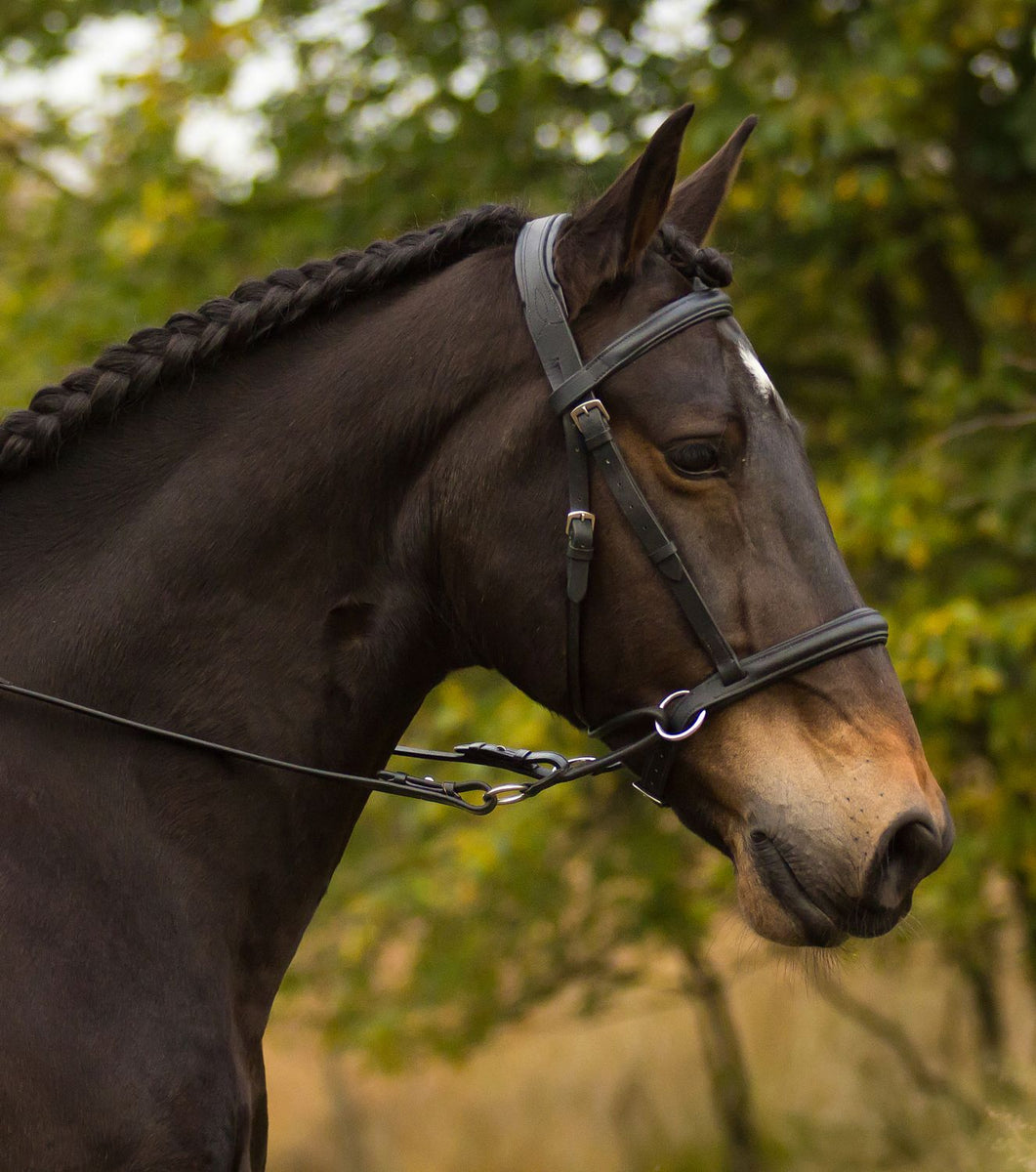 Bride Et Rênes Anglaises En Cuir Noir - Taille Cheval - Comme Neuves