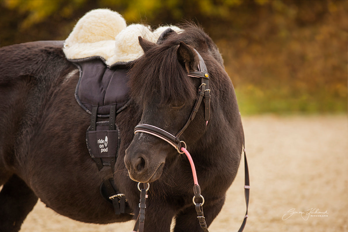 Ride-on-pad - Sheepskin cover